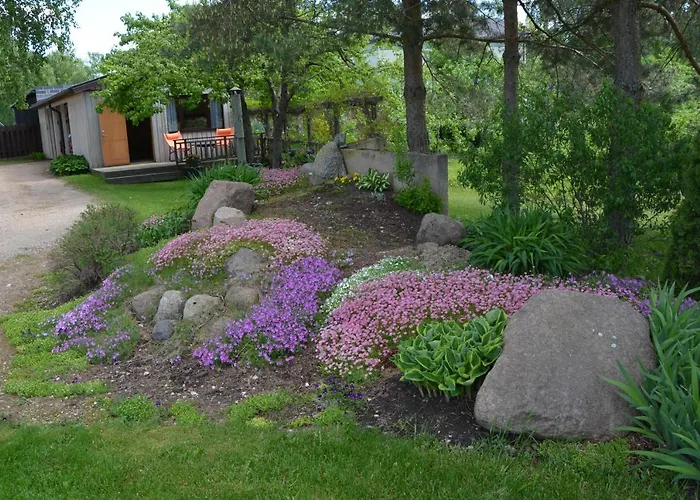 Hostel K15hostel Guest